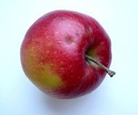 Apfel mit Stiel